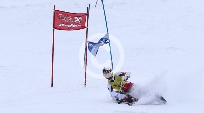 Skibob Landesmeisterschaften 2016